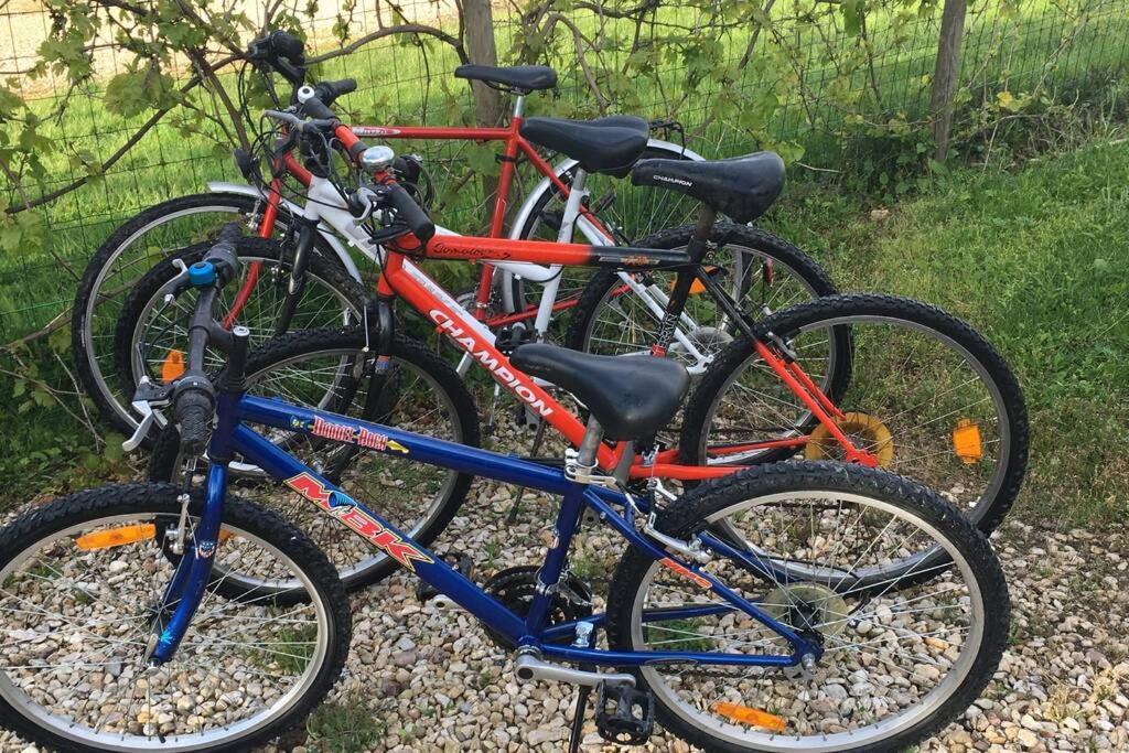 L'Echappée Ardennaise - Gîte 6 places tout confort Semuy Extérieur photo